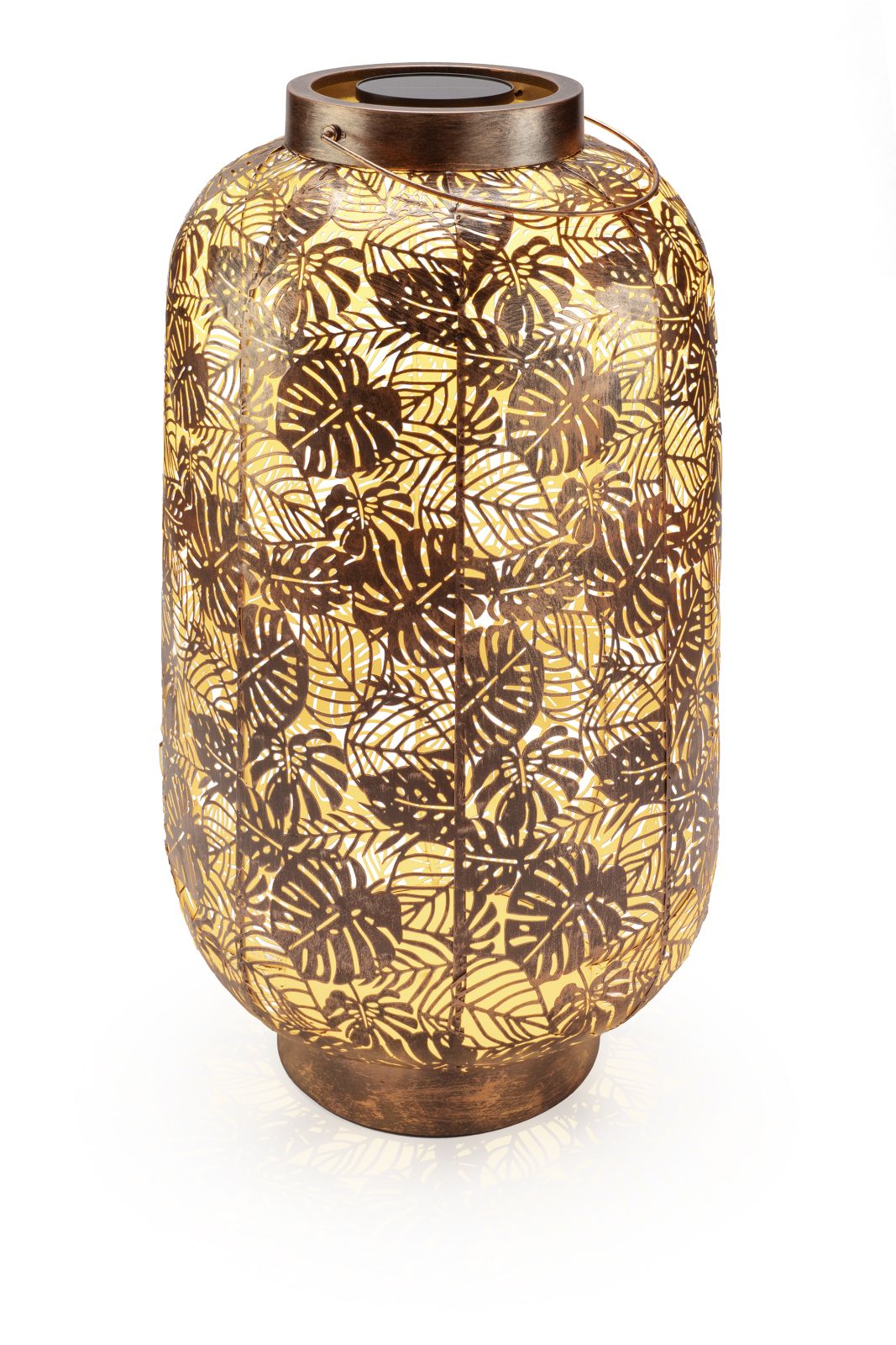 Solar Antic Grand Jungle