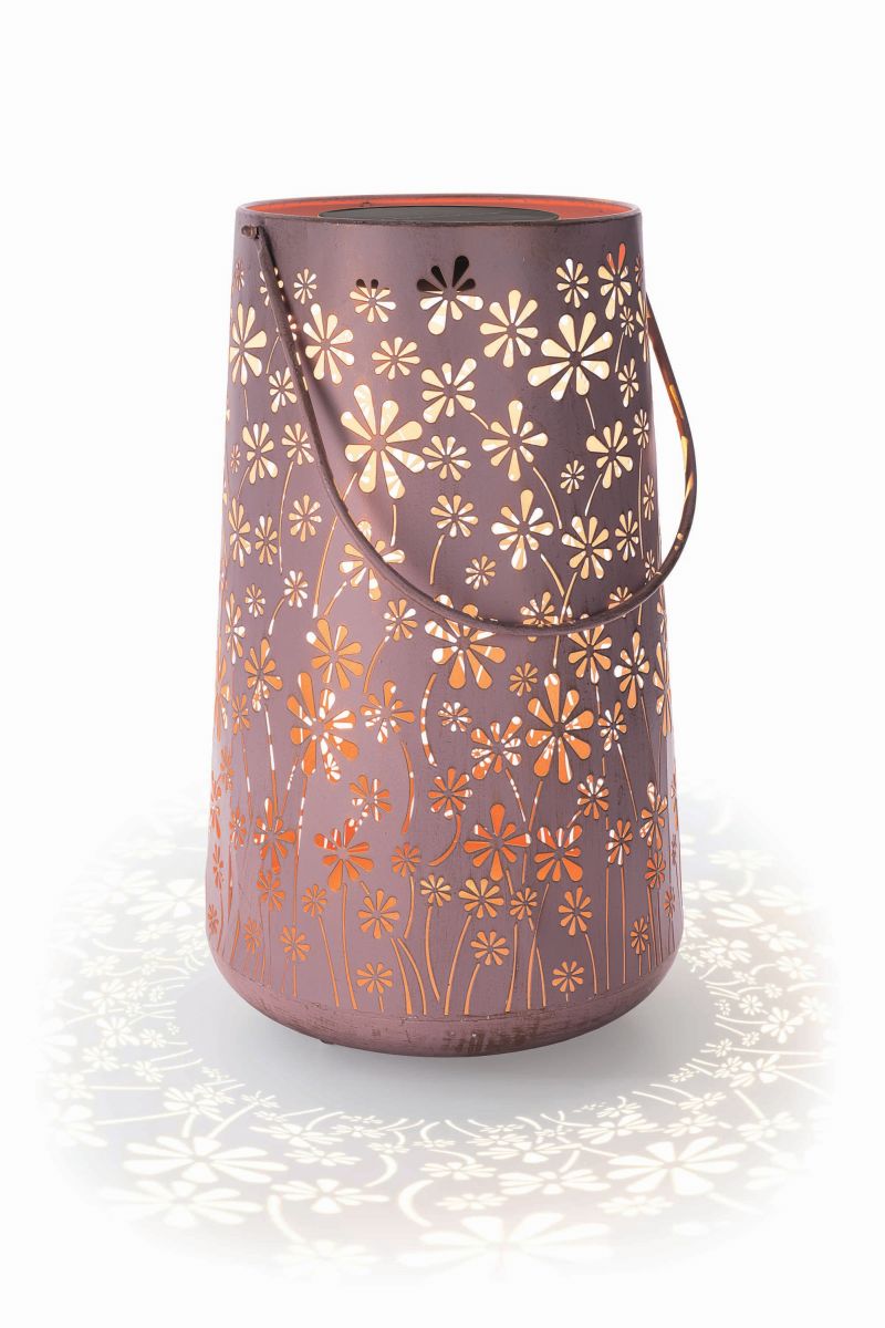 Solar Antic Lantern Daisy