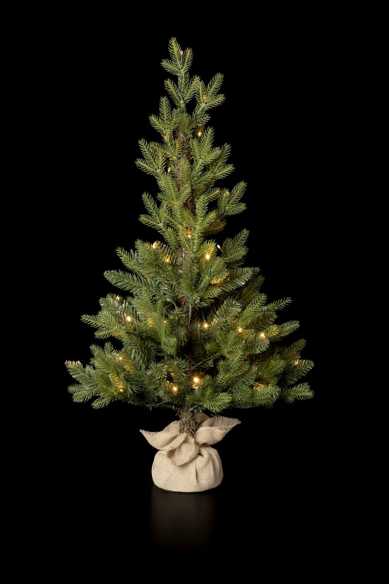 Nordic Tree