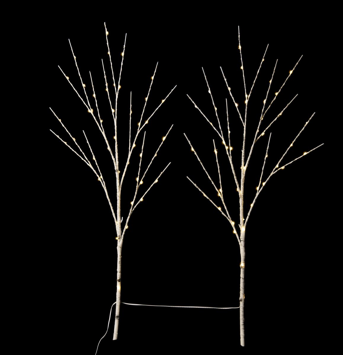 Birch Branches Set