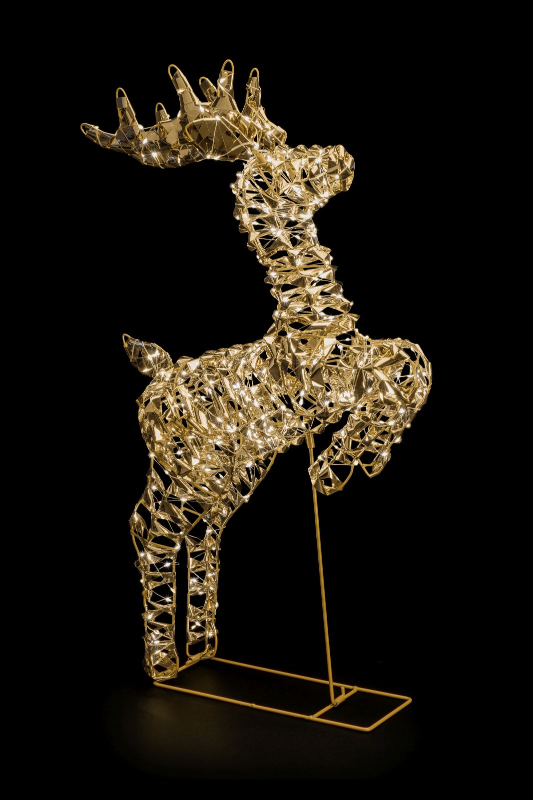 Glamour reindeer, 70